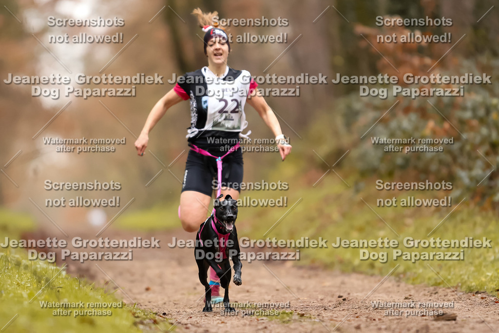 Dog Paparazzi - Speedhunter Mannheim  2025-57 | Dog Paparazzi Jeanette Grottendiek Fotografie & Videografie