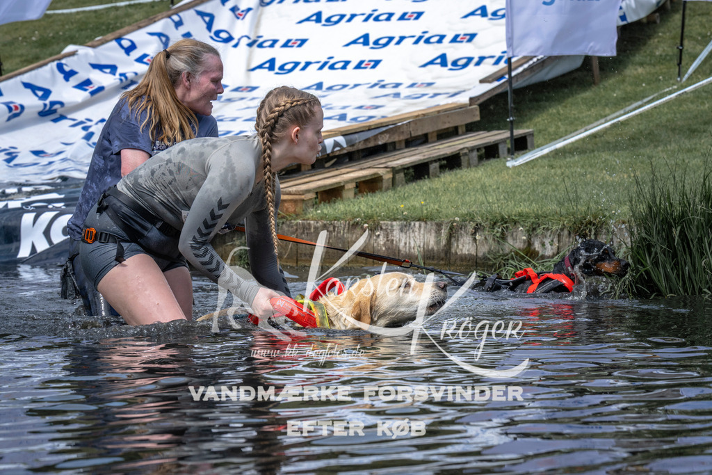 1127_ZZ92180 | kk-dogfotos