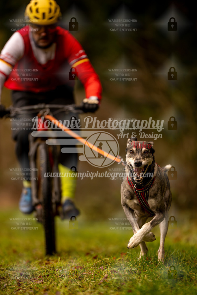 MompixPhotography_2SSTSSBW_2025_SO_Bike-42 | PayLife