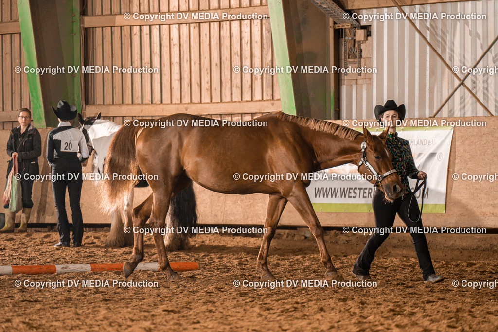 BAL01237 | dv-media-shop - Realisiert mit Pictrs.com