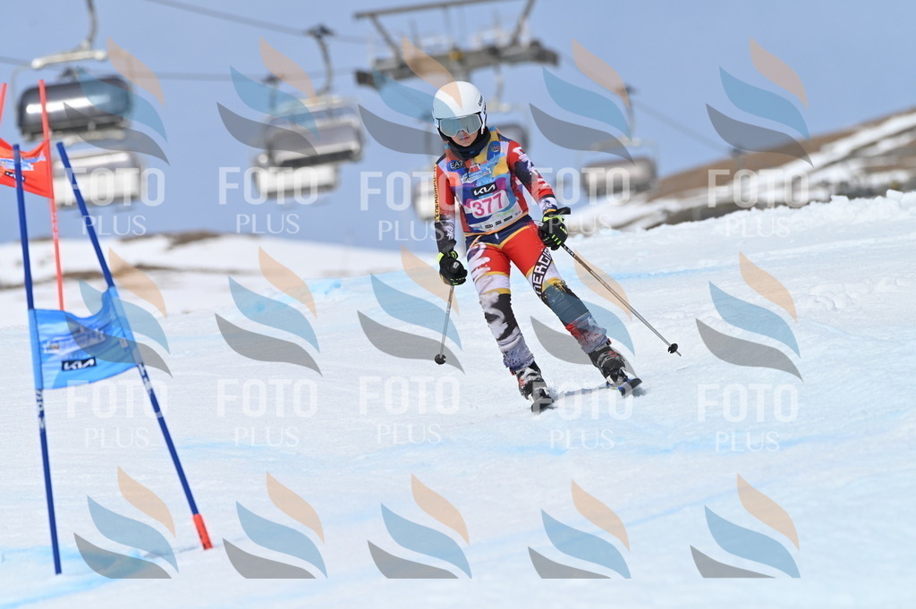 BGV_4125 | holidayphoto