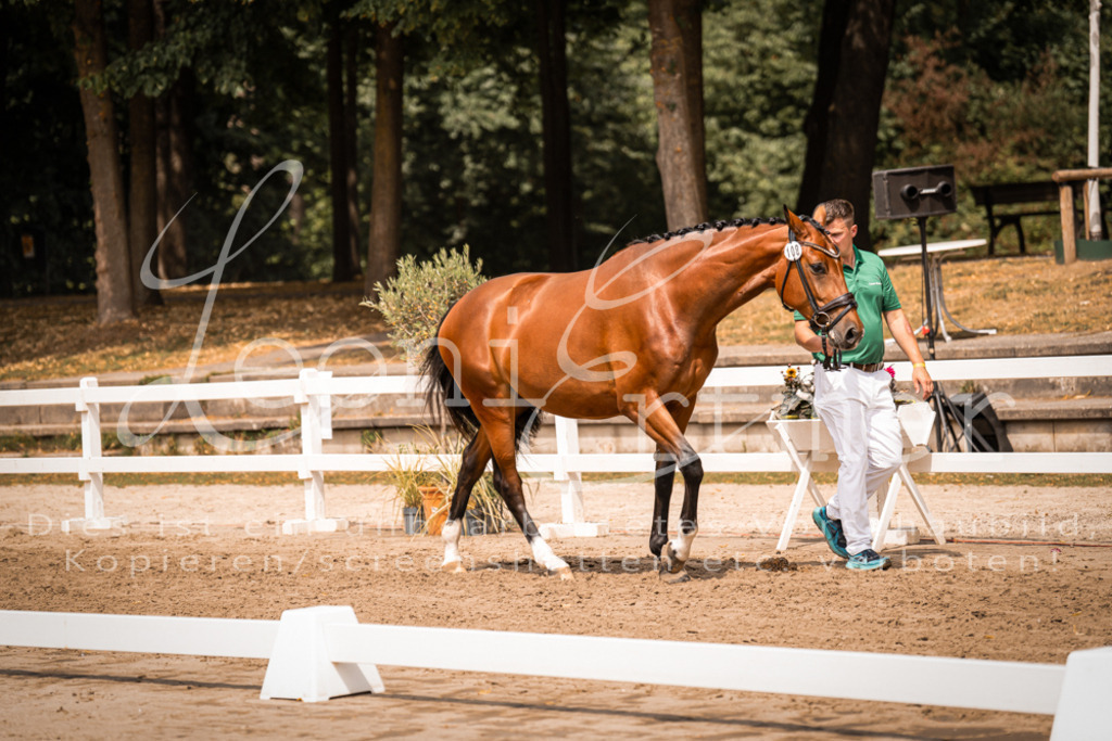 3.Fr00127 | Leoni Ertmer Photography - Realisiert mit Pictrs.com