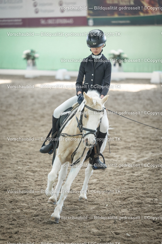 _D5A9104 | Emotionale Pferde- & People-Fotografie rund um Heidelberg, Leimen & Umgebung. Natürliche Fotos von Pferd, Mensch & Familie. Jetzt Termin sichern!