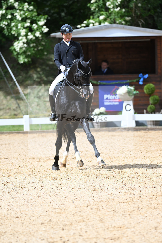 Liu_Donato_26262358 | hf-fotografie - Realisiert mit Pictrs.com