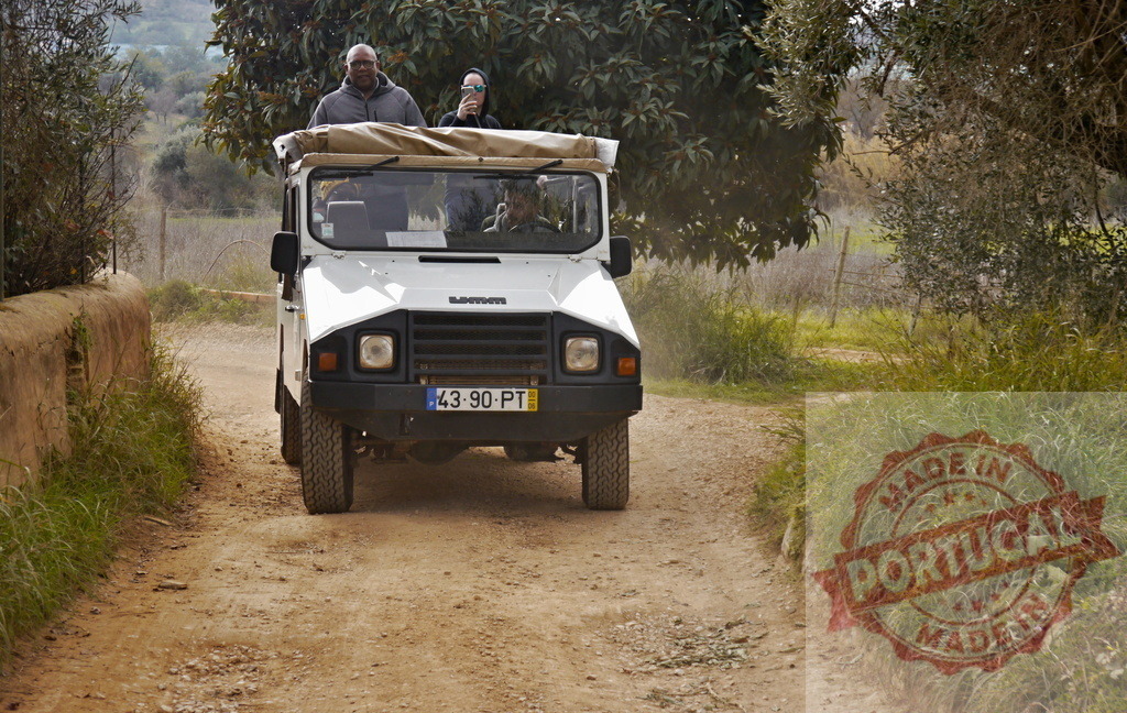 People on safari adventure driving off-road vehicle | Passengers enjoying a safari tour in an off-road vehicle on a rural dirt path - Realized with Pictrs.com