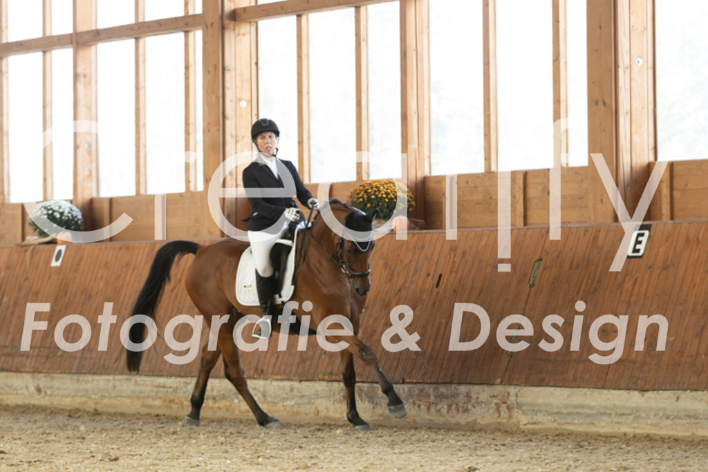 IMG_1754 | Creatify Fotografie