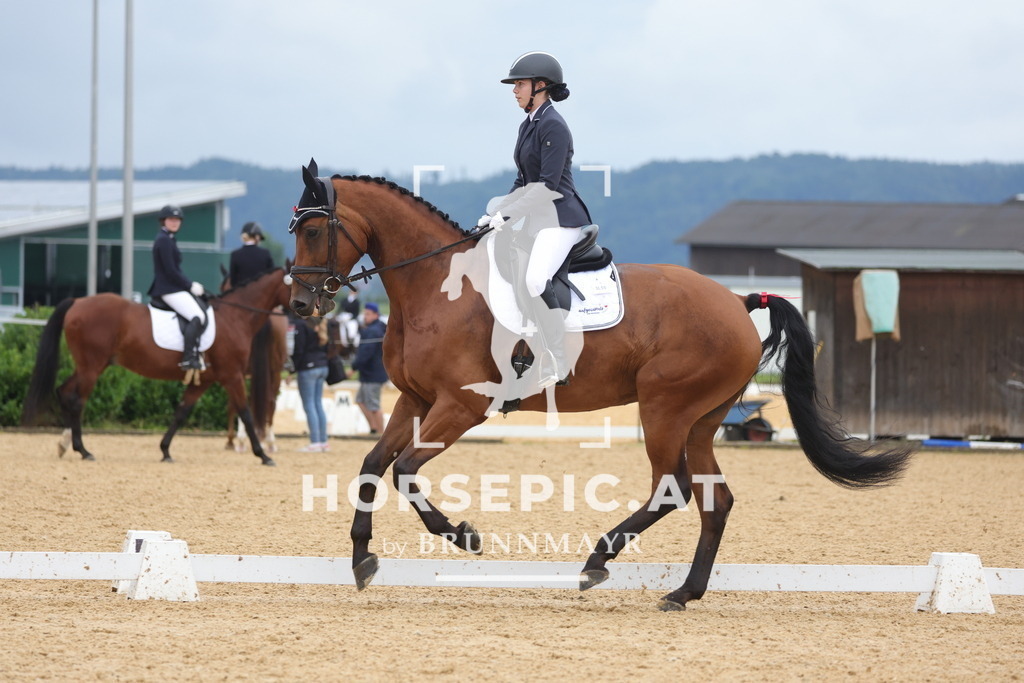 0P6A1441 | Willkommen bei Brunnmayr - Design & Fotografie – Ihrem Spezialisten für Reitturniere und Pferdeveranstaltungen in Oberösterreich, Salzburg und Bayern! Seit über 17 Jahren sind wir leidenschaftlich dabei.