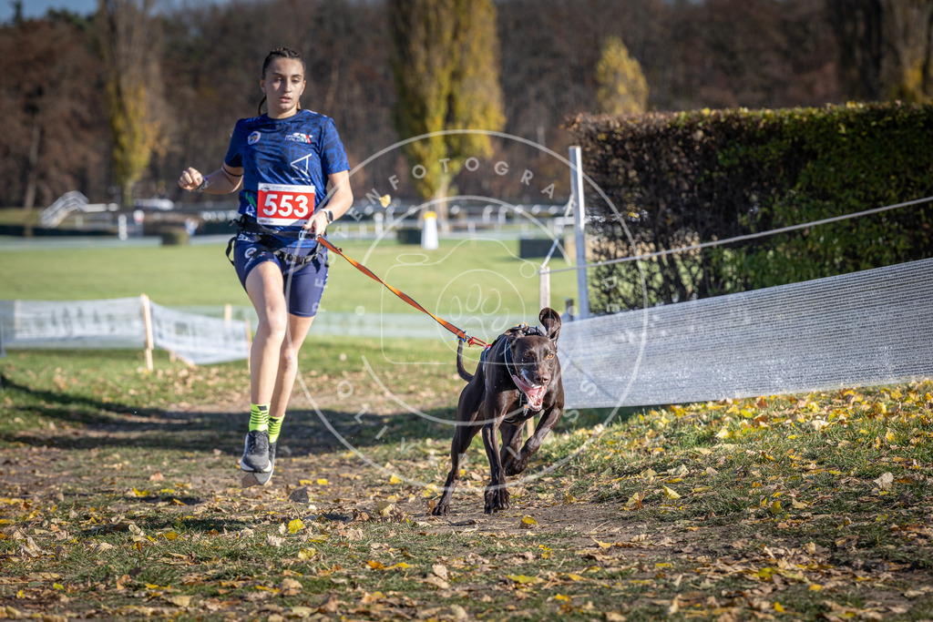 CaniXpix_DV3A8526 | Hundefotografie, Tierfotograf, Pfotenfotografie, Fotoshooting Hund, Hunde Portrait, Hundesport, Hundeportraits, Heideshooting, Hunde, Sportfotograf, Hundefotograf, Turnierhundsport, THS,  - Realisiert mit Pictrs.com
