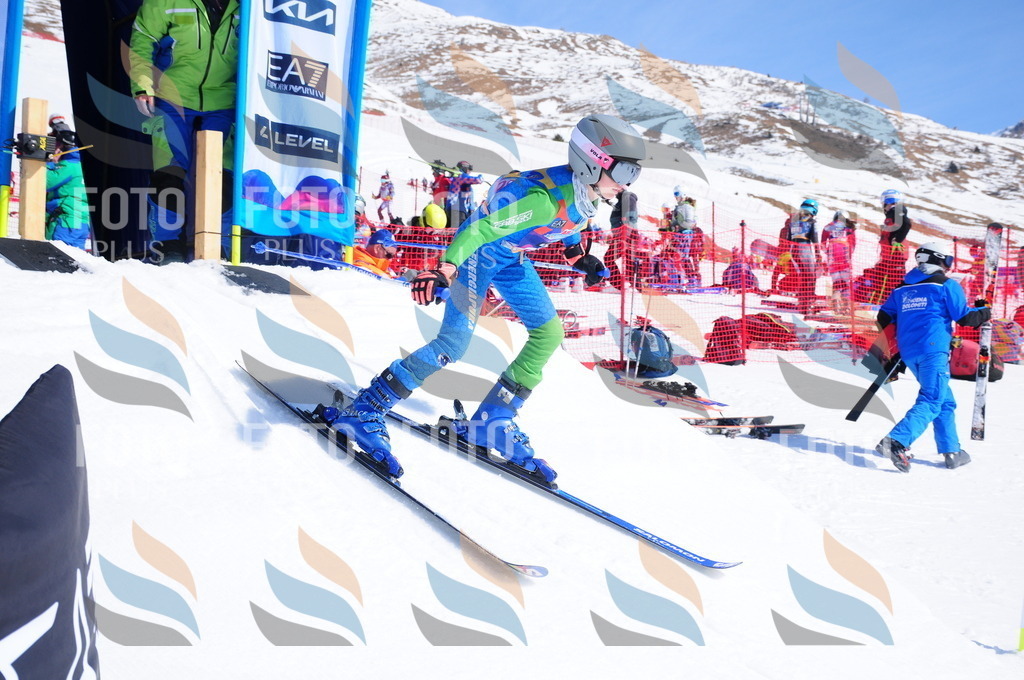 DSC_4517 | holidayphoto