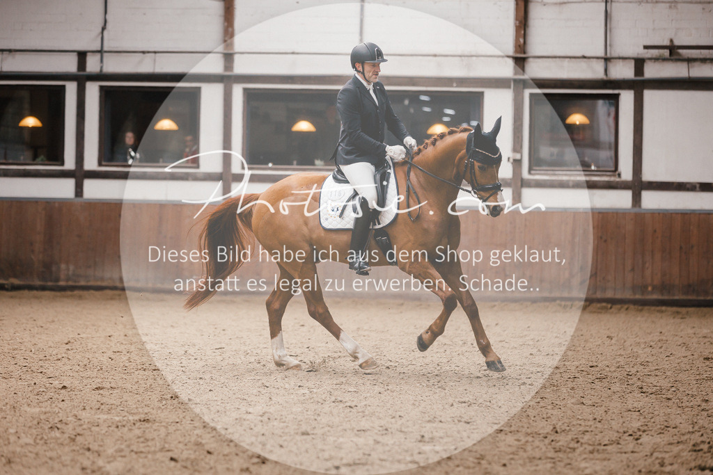 3I6A7222 | Stimmungsvolle Portraits und Reitsportfotografie im Ruhrgebiet und im Münsterland.

Pferdefotografie, Hundefotografie, Tierfotografie, Reportagen, Portraits von Tier und Mensch, Turnierfotografie in Bochum, Recklinghausen, Marl, Haltern am See, Dülmen.. - Realisiert mit Pictrs.com