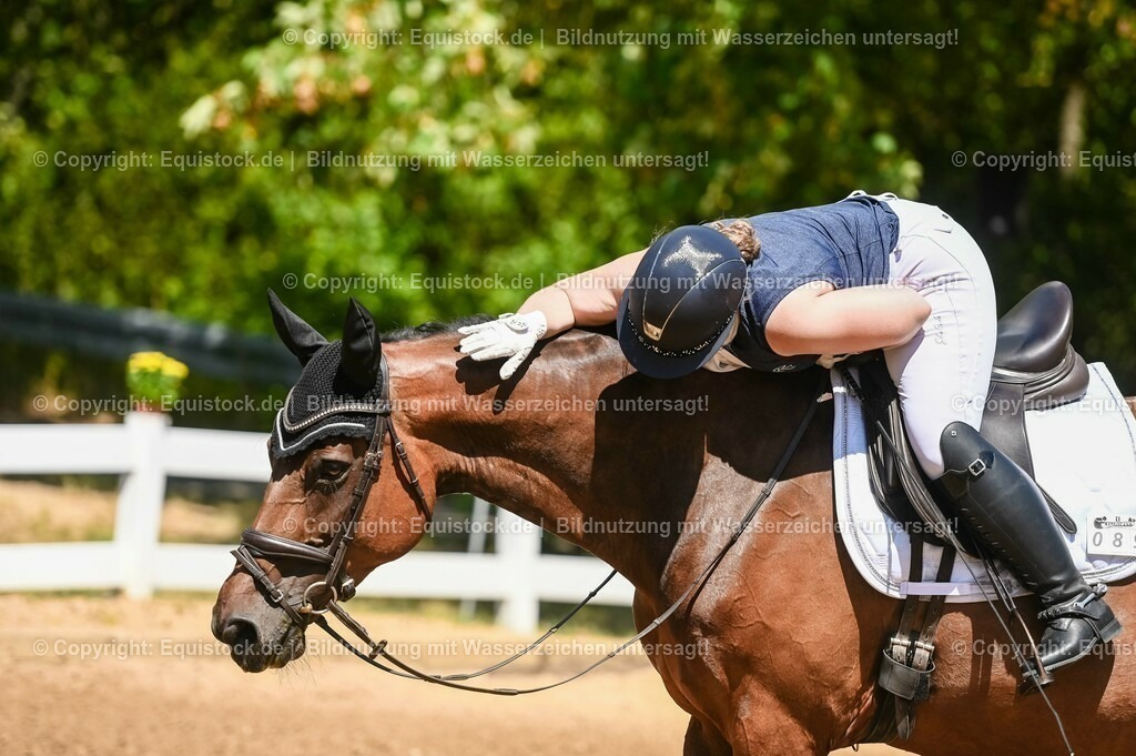 20230715_02_Dressurreiterprüfung Kl.L_0011 | equistock