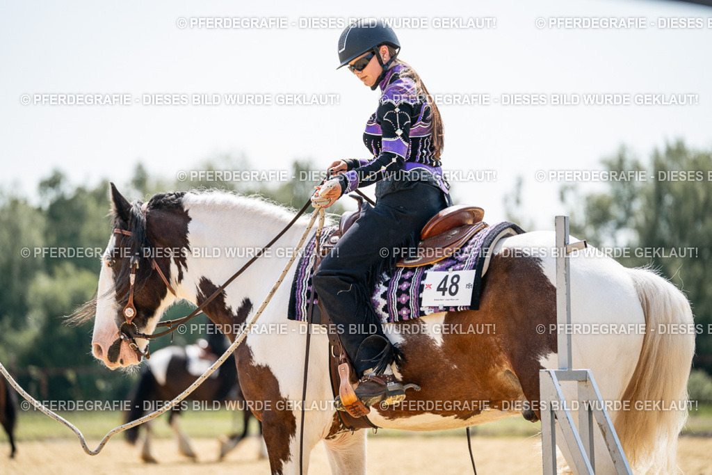 DSC00079 | Pferdegrafie