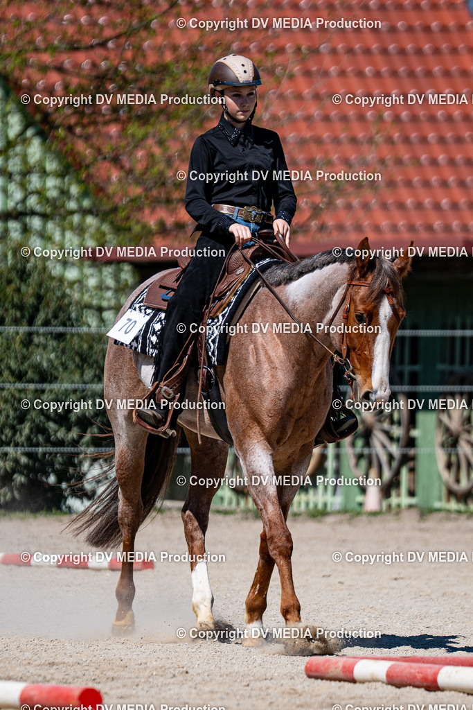 Balingen Tag 1-1012 | dv-media-shop - Realisiert mit Pictrs.com