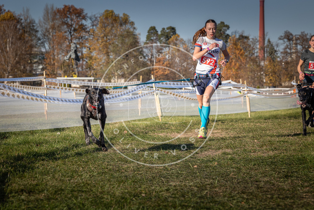 CaniXpix_0L8A8351 | Hundefotografie, Tierfotograf, Pfotenfotografie, Fotoshooting Hund, Hunde Portrait, Hundesport, Hundeportraits, Heideshooting, Hunde, Sportfotograf, Hundefotograf, Turnierhundsport, THS,  - Realisiert mit Pictrs.com