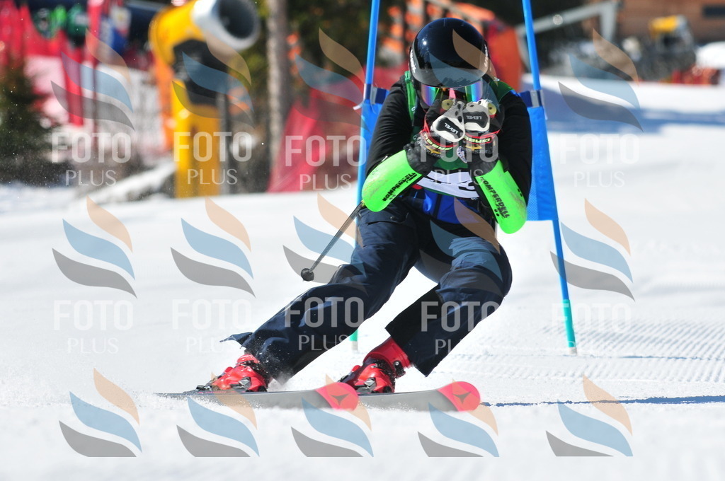 C4231 | holidayphoto