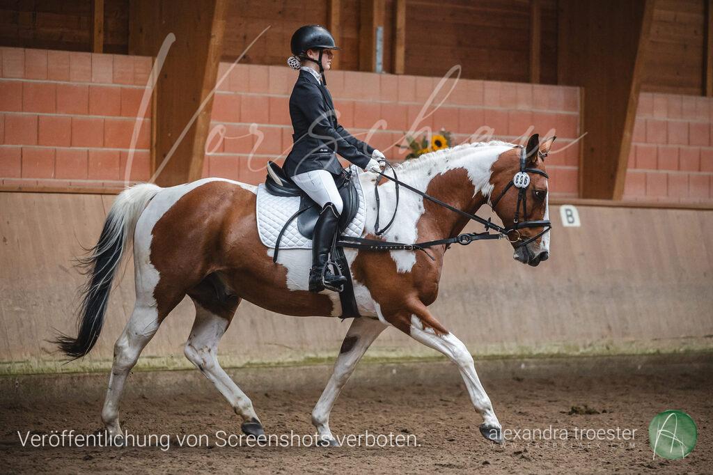 _MG_0727 | farbklaex.com