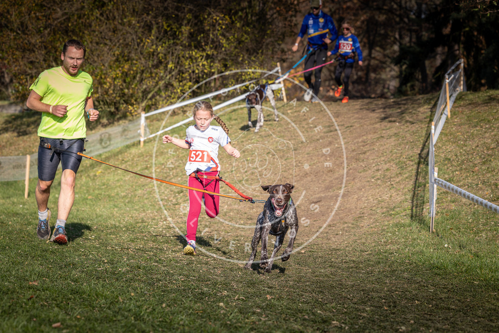 CaniXpix_0L8A8680 | Hundefotografie, Tierfotograf, Pfotenfotografie, Fotoshooting Hund, Hunde Portrait, Hundesport, Hundeportraits, Heideshooting, Hunde, Sportfotograf, Hundefotograf, Turnierhundsport, THS,  - Realisiert mit Pictrs.com