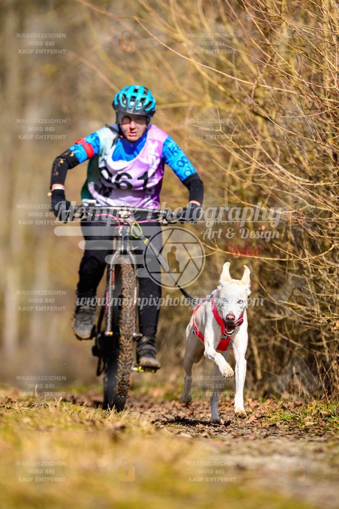 MompixPhotography_Schwabentrail2025_SO_Bike-83 | PayLife