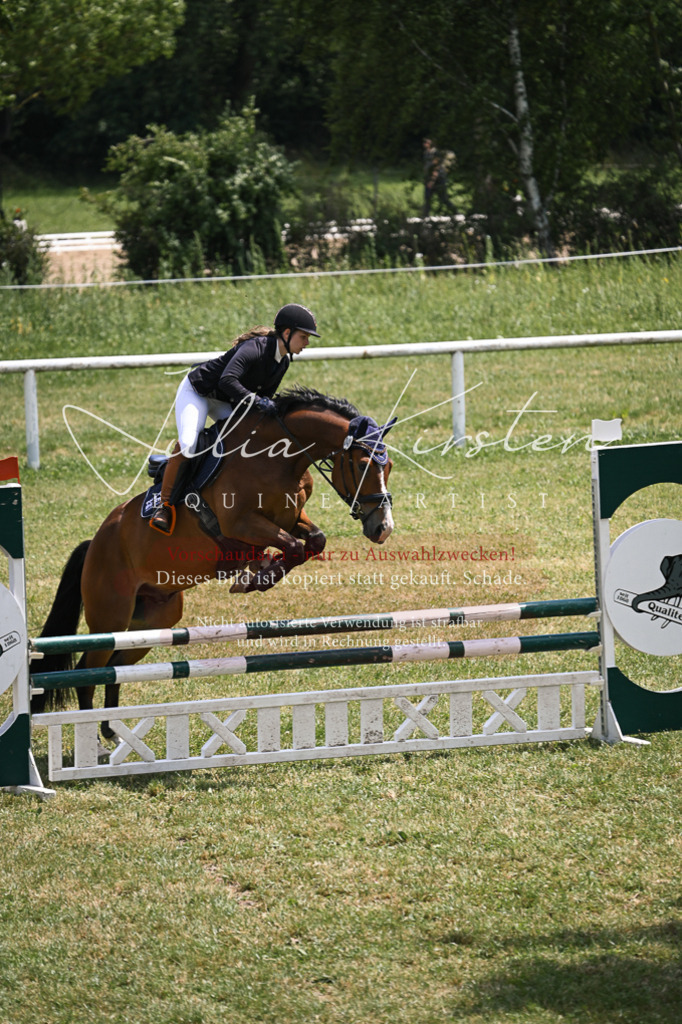 DSC_9529 | Pferde- und Turnierfotografie in Westsachsen. Pferdeportraits, Auftragszeichnungen und intuitive Kunst.