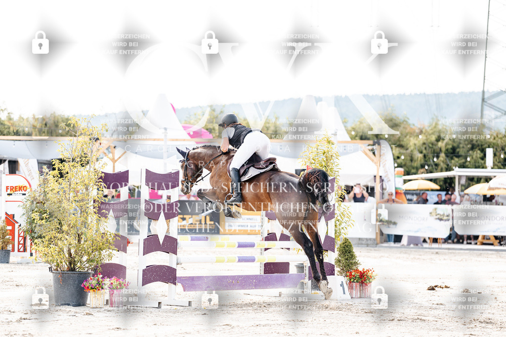 CK906291 | Turnierfotografie Pferdefotografie Trier Rheinland-Pfalz Pferdesport Reitsport Tierfotografie Sportfotografie Pferdevideo Pferdevideografie Equestrianvideography equestrianphotography  - Realisiert mit Pictrs.com