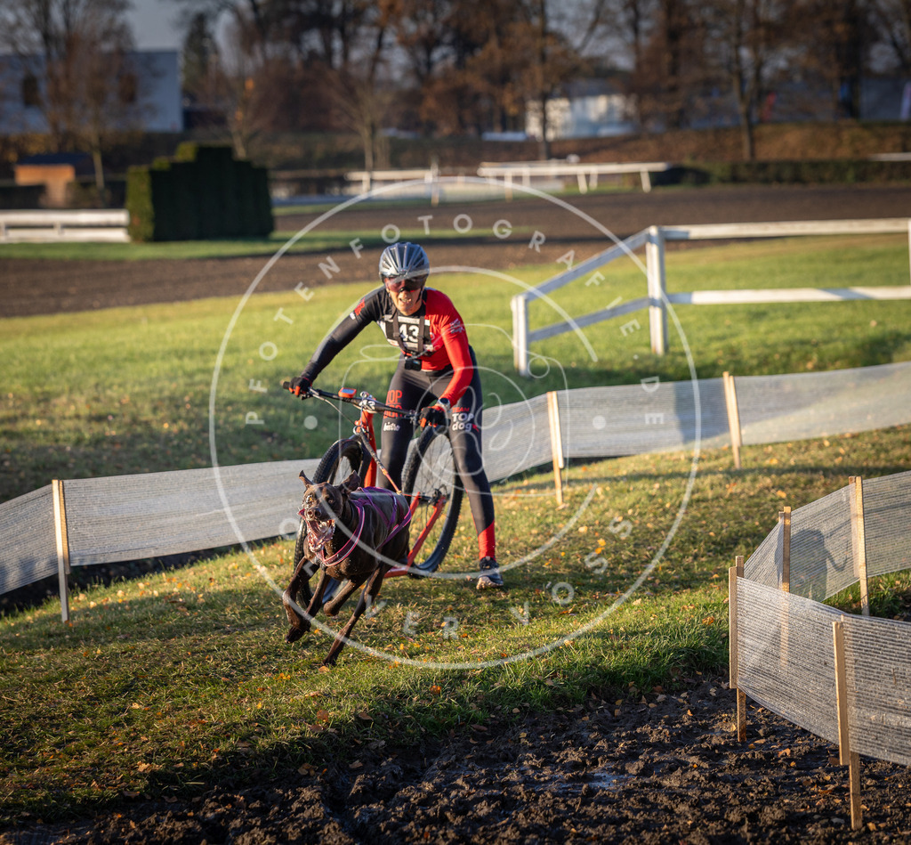 CaniXpix_DV3A0335 | Hundefotografie, Tierfotograf, Pfotenfotografie, Fotoshooting Hund, Hunde Portrait, Hundesport, Hundeportraits, Heideshooting, Hunde, Sportfotograf, Hundefotograf, Turnierhundsport, THS,  - Realisiert mit Pictrs.com