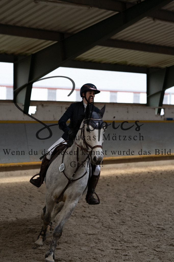 A7V04081 | Pferdefotograf