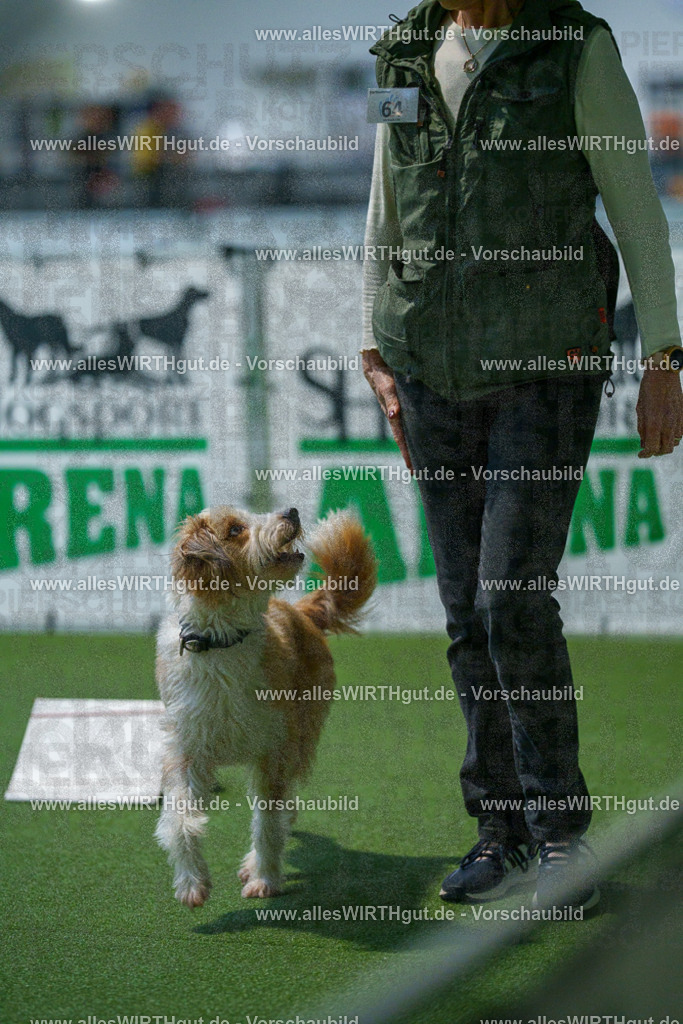 7R503366 | Professionelle Tierfotografie in Mönchengladbach von Daniel Wirth (allesWIRTHgut). Liebevolle & natürliche Bilder von Hunden & Katzen für unvergessliche Erinnerungen.