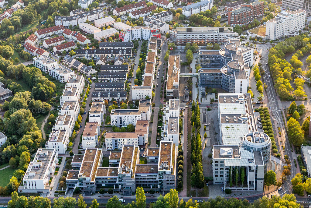 Luftbild: Büro- und Geschäftshaus- Ensemble von Hapag Lloyd AG, Industriegebiet BAU, Maxpert GmbH, Hessisches Landesprüfungs- und Untersuchungsamt im Gesundheitswesen, TÜV SÜD Akademie GmbH, Training Center Frankfurt und Haus des Jugendrechts - Frankfurt Nord am Main im Ortsteil Niederursel in Frankfurt im Bundesland Hessen in Deutschland. Foto: IMG_117680.jpg vom 10.09.2019 durch Werner Riehm/FLY-FOTO.de