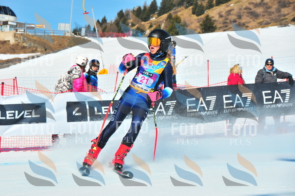 DSC_3849 | holidayphoto