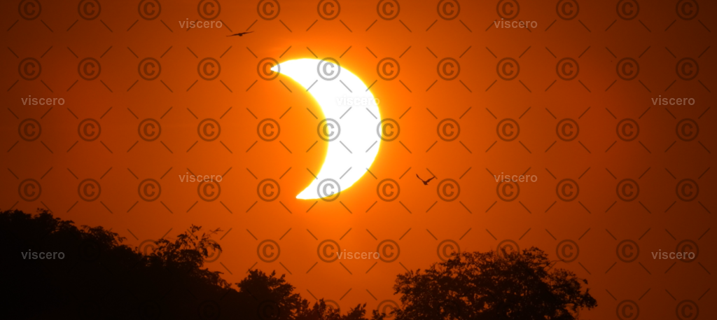 Screenshot 2026-08-14 001045 - Kopiert (2) | viscero