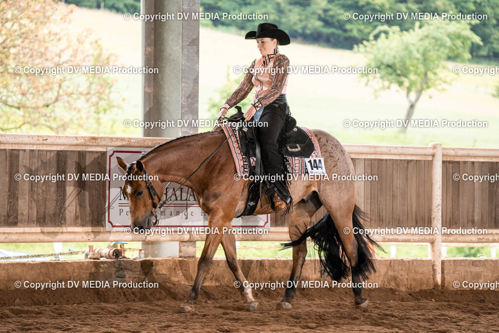 Erbach Tag 1-489 | dv-media-shop - Realisiert mit Pictrs.com