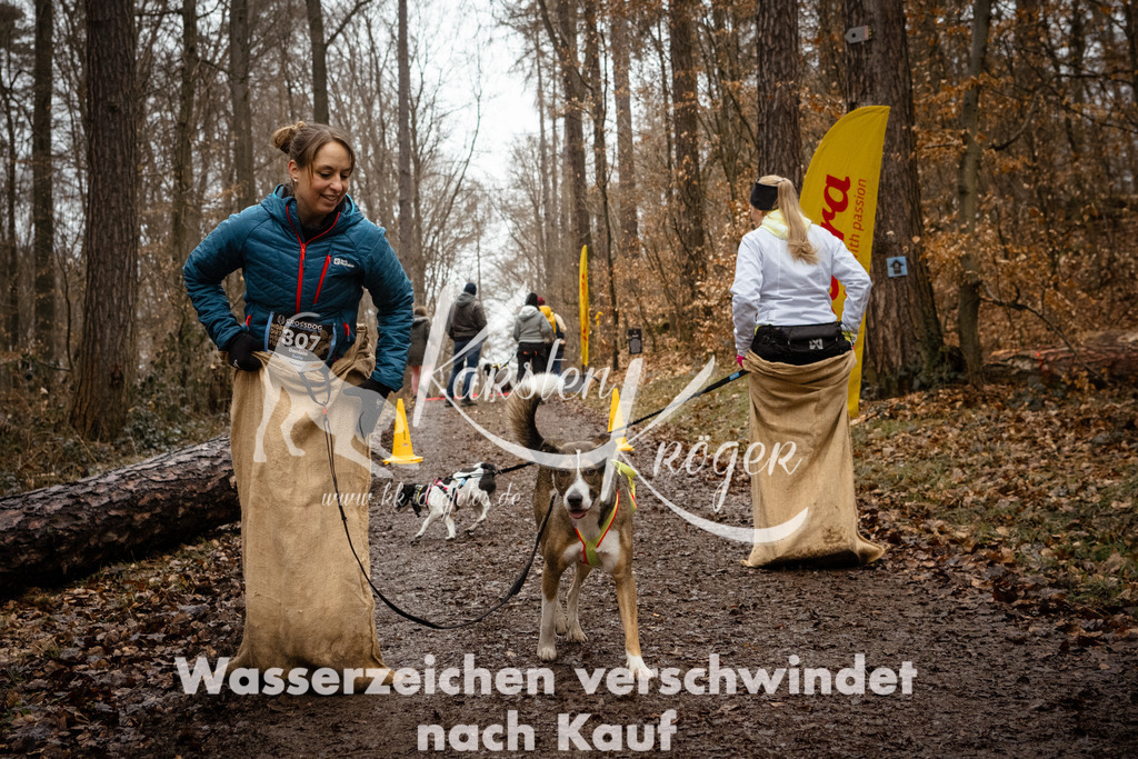 1146_ZZ91857 | kk-dogfotos