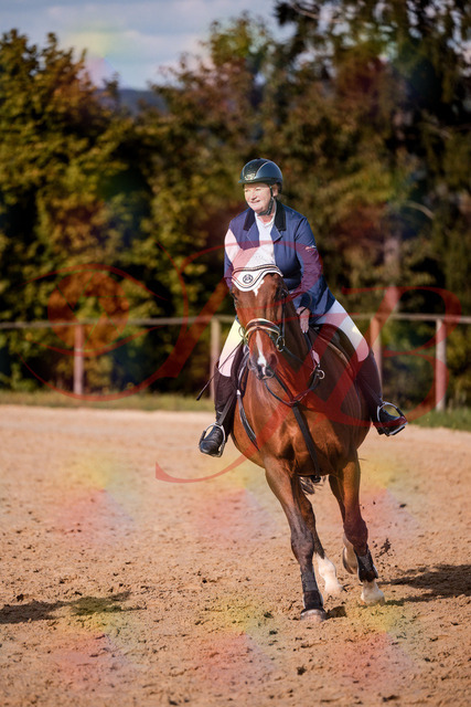 2026_10_03_Siefer-Hof_160659_Z81_89162982 | Professionelle Reitsport-, Turnier- und Eventfotografie von Robert Broda. Galerien mit ausgewählten und bearbeiteten Bildern direkt online ansehen und bestellen.