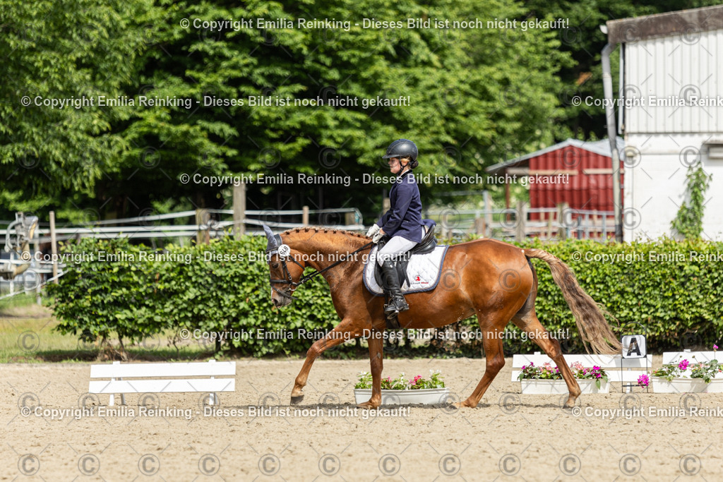 CL5A1336 | Emilia Reinking Fotografie - Realisiert mit Pictrs.com