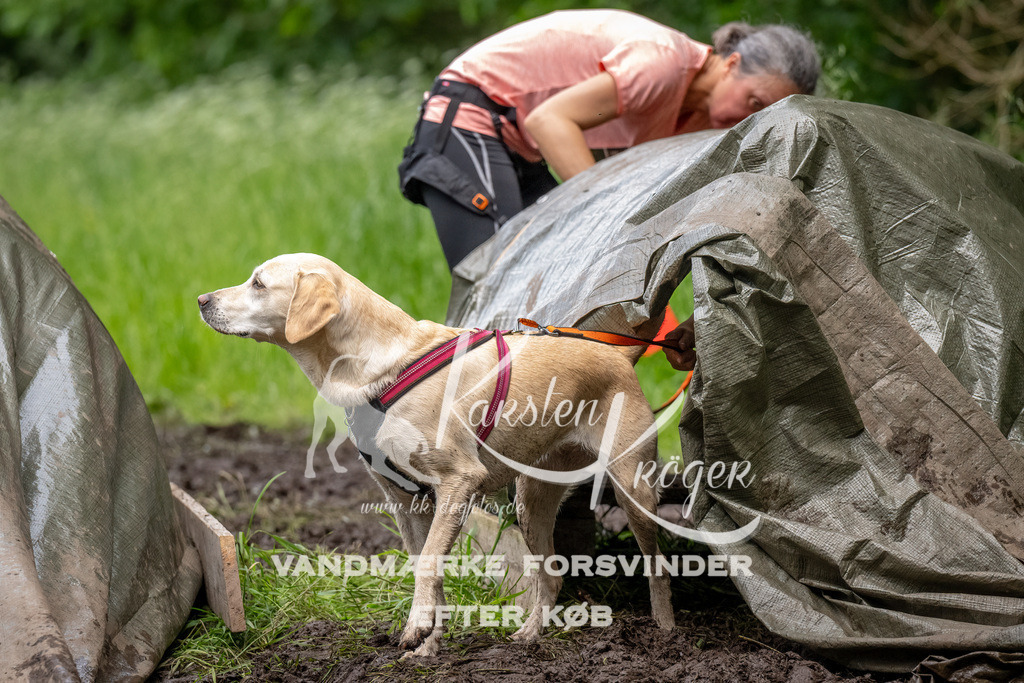1530_ZZ93912-Bearbeitet | kk-dogfotos