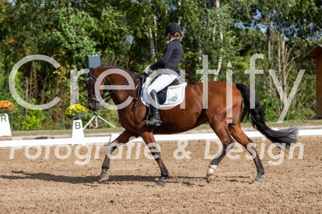 IMG_5316 | Creatify Fotografie