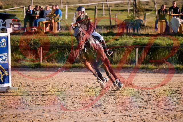 2026_10_03_Siefer-Hof_171901_Z81_16958635 | Professionelle Reitsport-, Turnier- und Eventfotografie von Robert Broda. Galerien mit ausgewählten und bearbeiteten Bildern direkt online ansehen und bestellen.