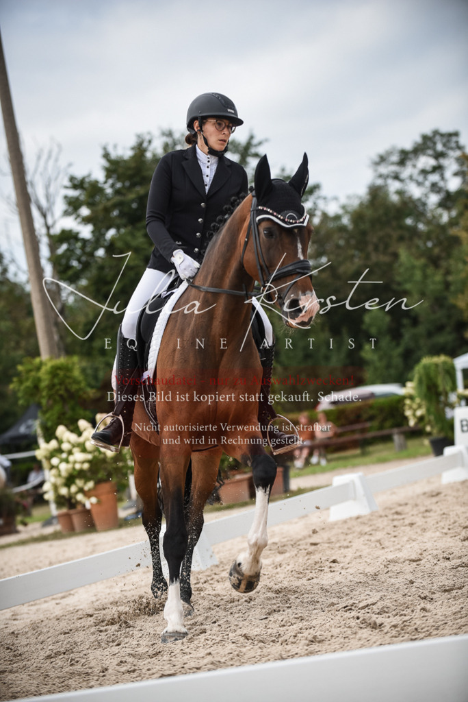 DSC_8568 | Pferde- und Turnierfotografie in Westsachsen. Pferdeportraits, Auftragszeichnungen und intuitive Kunst.