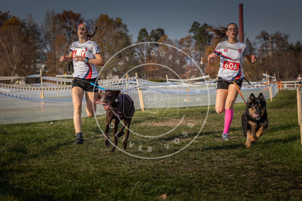 CaniXpix_0L8A0003 | Hundefotografie, Tierfotograf, Pfotenfotografie, Fotoshooting Hund, Hunde Portrait, Hundesport, Hundeportraits, Heideshooting, Hunde, Sportfotograf, Hundefotograf, Turnierhundsport, THS,  - Realisiert mit Pictrs.com