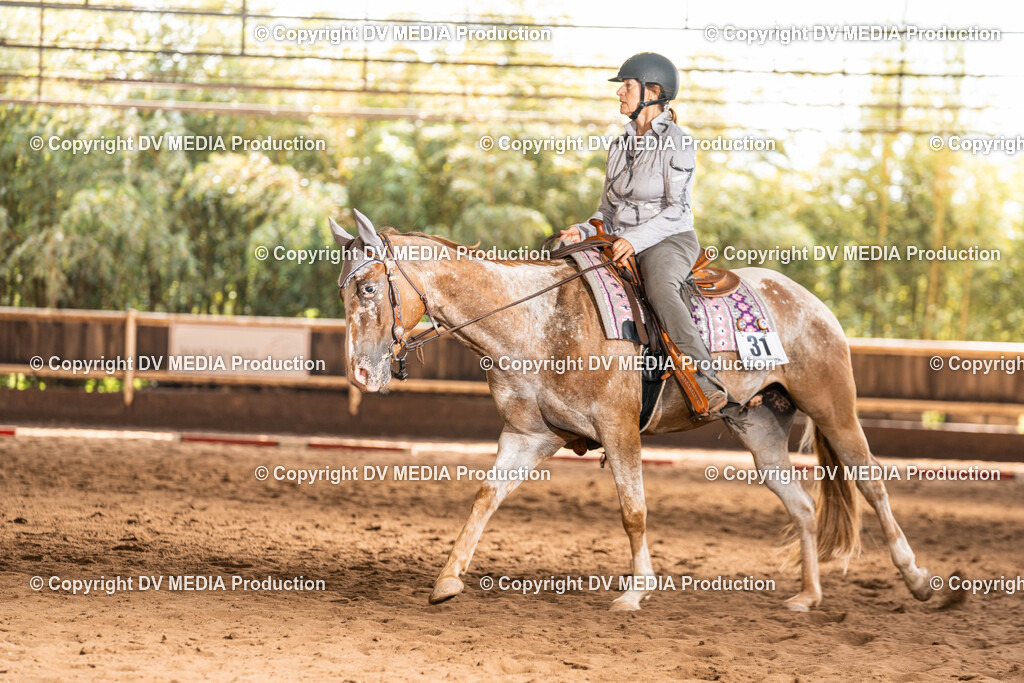 Erbach Tag 1-237 | dv-media-shop - Realisiert mit Pictrs.com