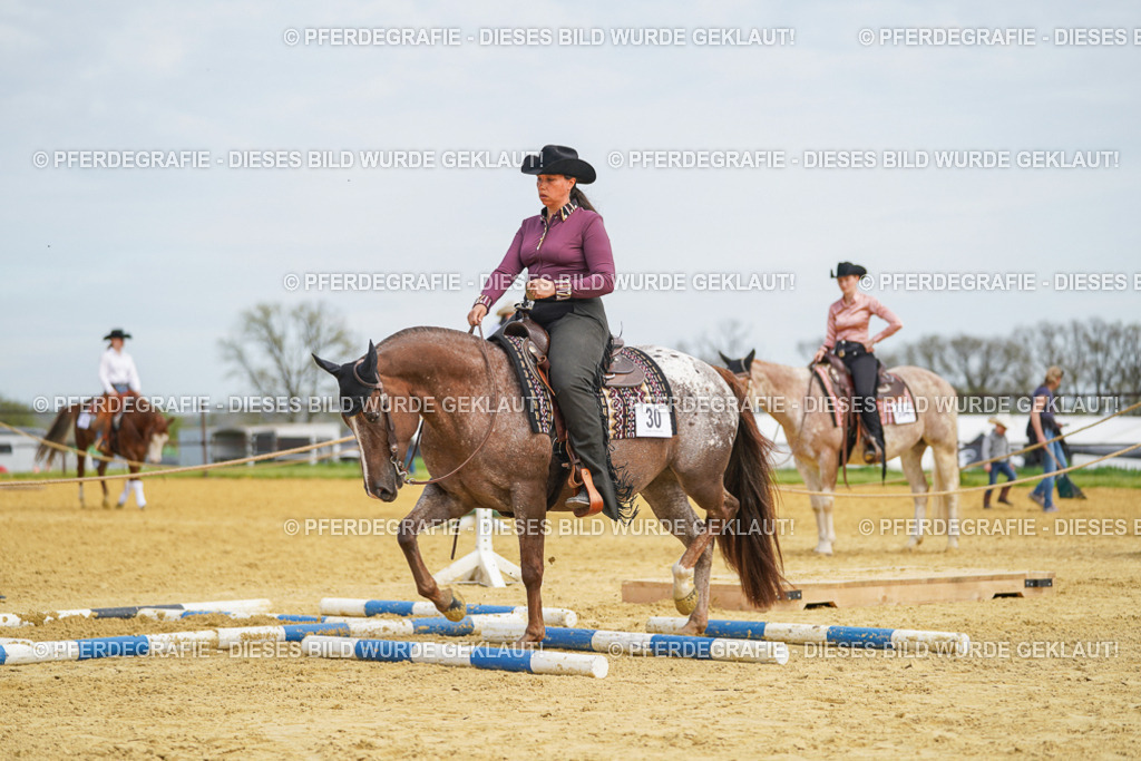 DSC03534 | Pferdegrafie