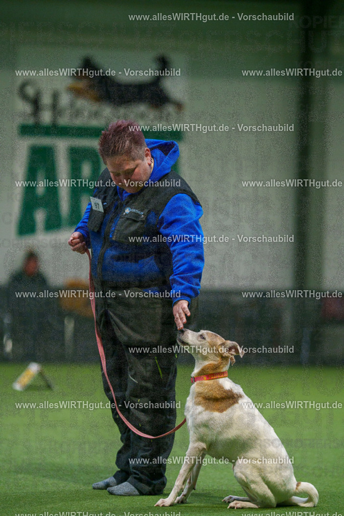7R504522 | Professionelle Tierfotografie in Mönchengladbach von Daniel Wirth (allesWIRTHgut). Liebevolle & natürliche Bilder von Hunden & Katzen für unvergessliche Erinnerungen.