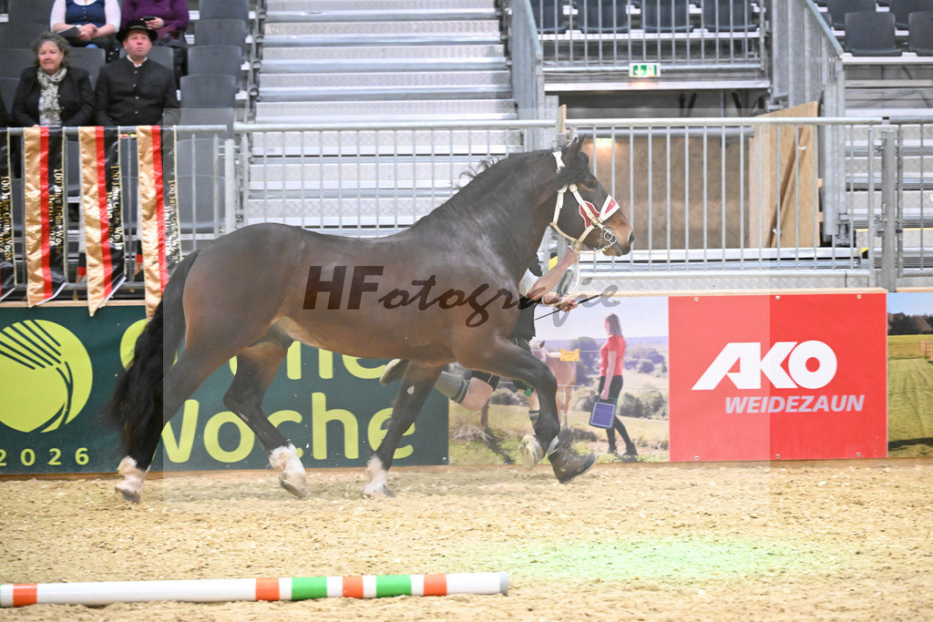 Kat-Nr. 9 Rubino III W v. Rivero_Fritzmeier_1260169 | hf-fotografie - Realisiert mit Pictrs.com