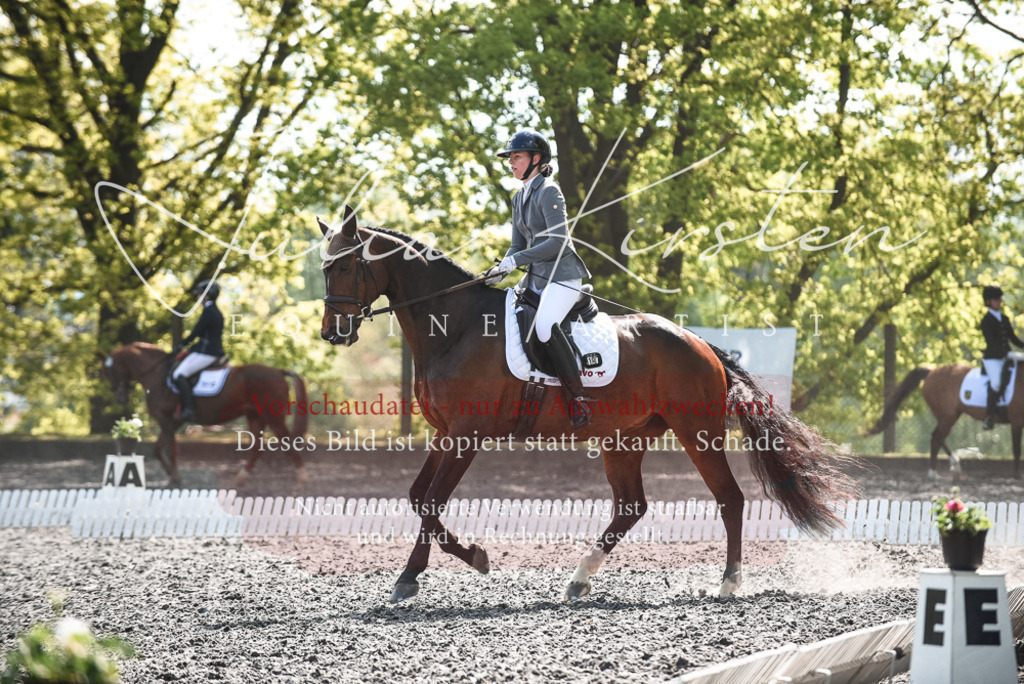 DSC_8976 | Pferde- und Turnierfotografie in Westsachsen. Pferdeportraits, Auftragszeichnungen und intuitive Kunst.