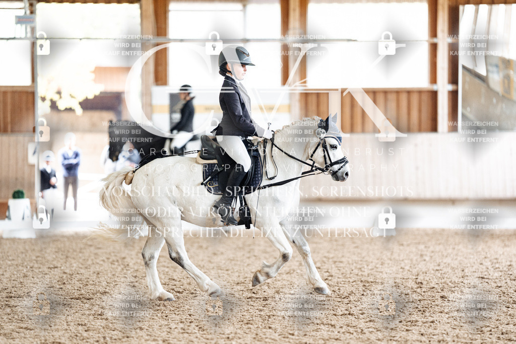 CK900944 | Turnierfotografie Pferdefotografie Trier Rheinland-Pfalz Pferdesport Reitsport Tierfotografie Sportfotografie Pferdevideo Pferdevideografie Equestrianvideography equestrianphotography  - Realisiert mit Pictrs.com