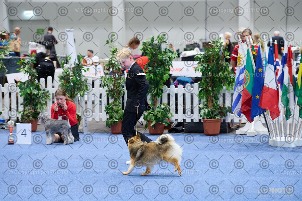 202406_ÖKV-IHA-Tulln24_DSC_4743 | proPHOTO - Realisiert mit Pictrs.com