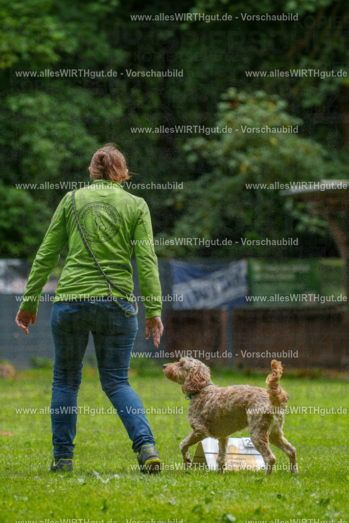 @allesWIRTHgut_Tierfotografie - www.allesWIRTHgut.de - 092434-7R507075 | Professionelle Tierfotografie in Mönchengladbach von Daniel Wirth (allesWIRTHgut). Liebevolle & natürliche Bilder von Hunden & Katzen für unvergessliche Erinnerungen.