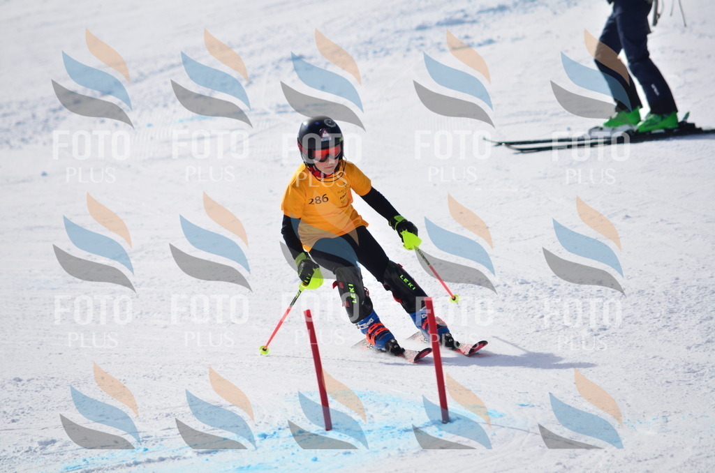 C8664 | holidayphoto