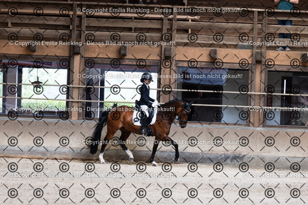 CL5A4091 | Emilia Reinking Fotografie - Realisiert mit Pictrs.com