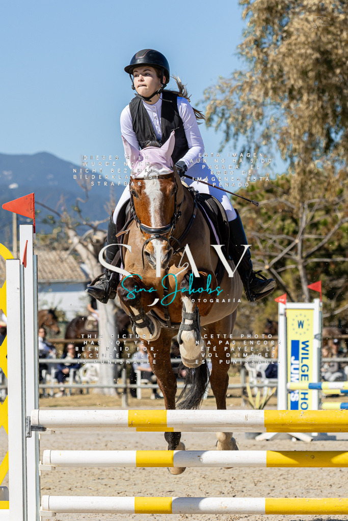 IMG_9575 | s-jay-photography - Realisiert mit Pictrs.com